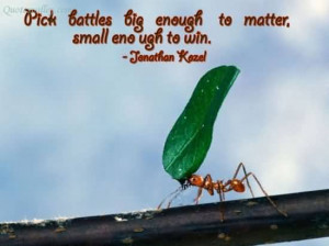 Pick Battles Big Enough To Matter, Small Enough To Win