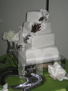 Elion Wedding March 2011