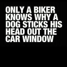 LOVE the feeling of coasting down a hill after a super hard climb ...