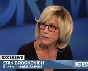 Erin Brockovich Movie Quotes Erin brockovich searches for