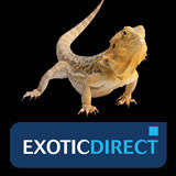 Exotic Direct - Insurance for small mammals, birds and reptiles