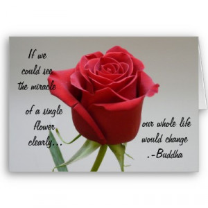 red_rose_valentine_with_buddha_quote_card-p137260195346190566zv2h8_400 ...