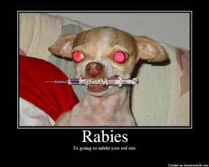 Does this site cause rabies or what?