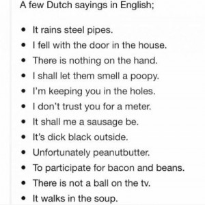 Dutch Sayings In English