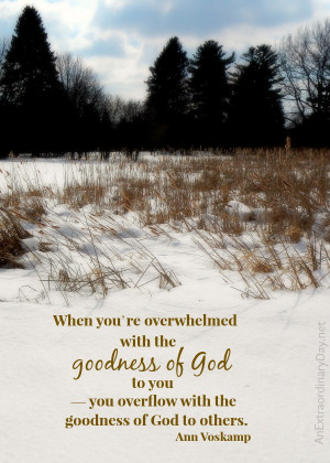 The Goodness of God ~ Ann Voskamp Quote :: AnExtraordinaryDay.net