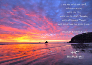 Inspirational Horse Quotes from Rancho Chilamate and Out of the Blue ...