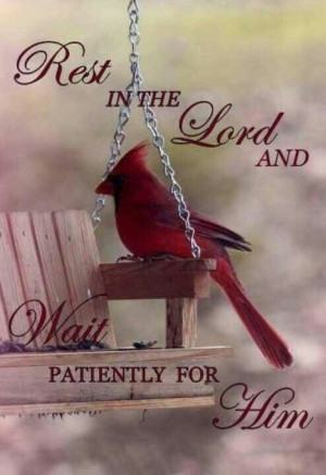 Waiting patiently on the Lord