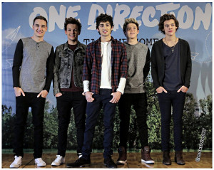 One Direction one direction 2013