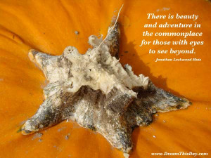 you find great value in these commonplace quotes and sayings