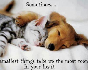 Cute Life Quotes & Sayings