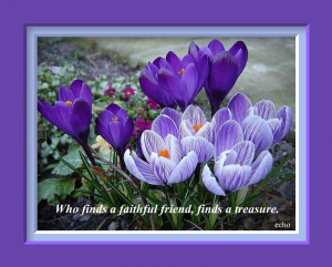 Flower Quotes About Friendship. QuotesGram
