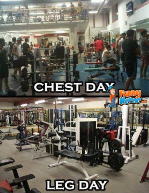 Funny Memes – Chest day vs Leg day