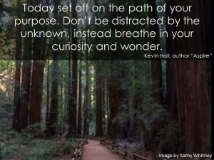 Set off on the path...