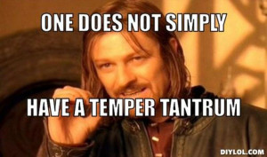 simply meme generator one does not simply have a temper tantrum aaf603