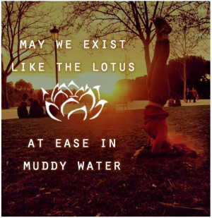 May we exist like the lotus at ease in muddy water -Zen Proverb #yoga ...