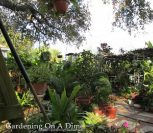 Sunday Garden Quote: Plant Happiness In Your Garden