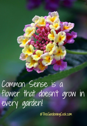 Gardening Quotes and Inspirational Sayings