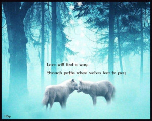 Wolf Wisdom