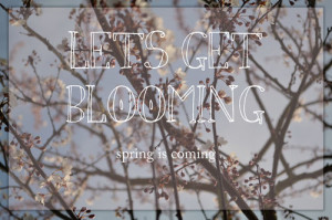 Lets get blooming, spring is coming