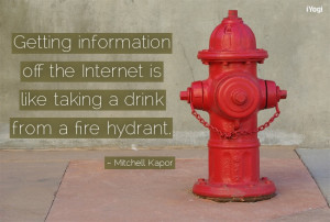... Internet is like taking a drink from a fire hydrant.
