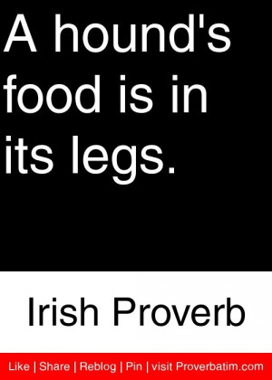 hound's food is in its legs. - Irish Proverb #proverbs #quotes