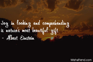 ... -Joy in looking and comprehending is nature's most beautiful gift