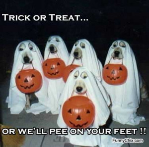 Trick or Treat, or we'll pee on your feet !!