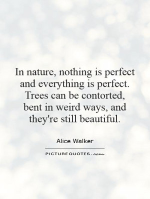 Tree Quotes