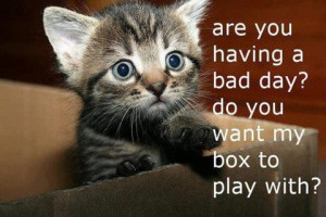 ... and this kitten is cute i love the caption are you having a bad day do