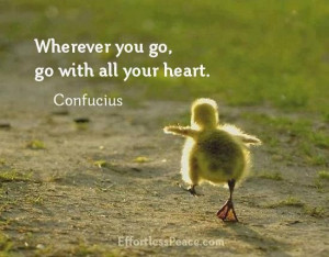 Follow your heart and trust it
