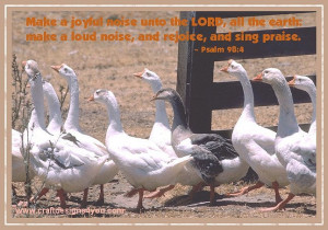 Psalm 98 Geese