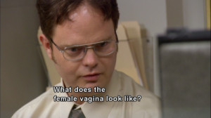 :Dwight Schrute: Hey Toby Toby: Hey Dwight Dwight Schrute ...