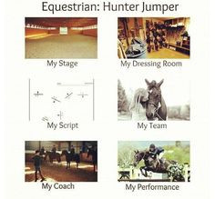 Hunter Jumper World More