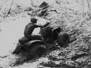 Four Wheeling Quotes