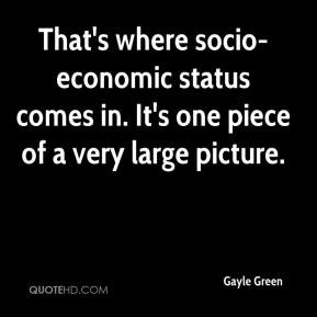 That's where socio-economic status comes in. It's one piece of a very ...