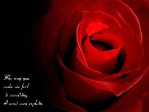 The way you make me feel..rose quotes for love