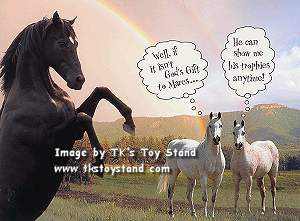 ... horses deluxe greeting card horses quotes well if it isn t god s gift