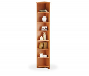 Standing Corner Shelf Unit