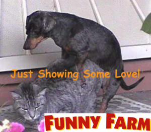 just showing some love funny farm myspace, friendster, facebook, and ...