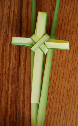 palm sunday the sixth and last sunday of lent is the beginning of holy ...