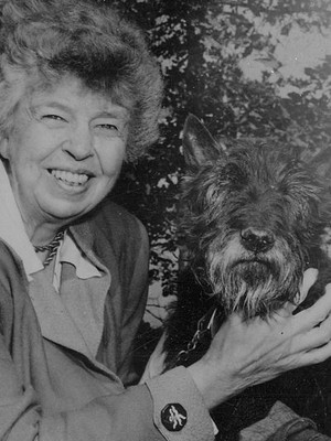 ELEANOR ROOSEVELT QUOTES ON EDUCATION