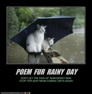 funny rainy day