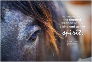 In the long run, the sharpest weapon of all is a kind and gentle ...