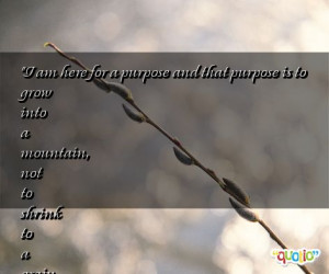 purpose is to grow into a mountain, not to shrink to a grain of sand ...