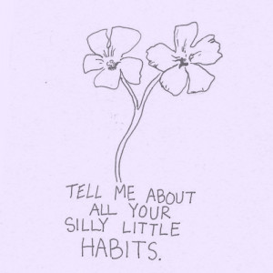life quotes silly little habits Life Quotes Silly Little Habits