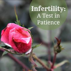 Test in Patience: Infertility Has My Life Stuck on ‘Hold’ Life ...