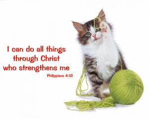 Bible_quoted_pics's Bucket