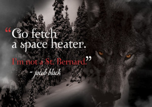 Go fetch a space heater... Eclipse Quote