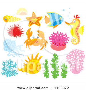 Cartoon Sea Creatures And
