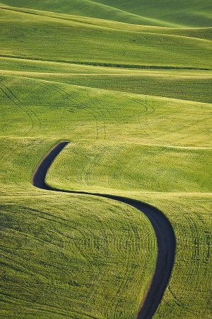 The Roads, Country Roads, Back Roads, Gleb Tarro, Landscape ...
